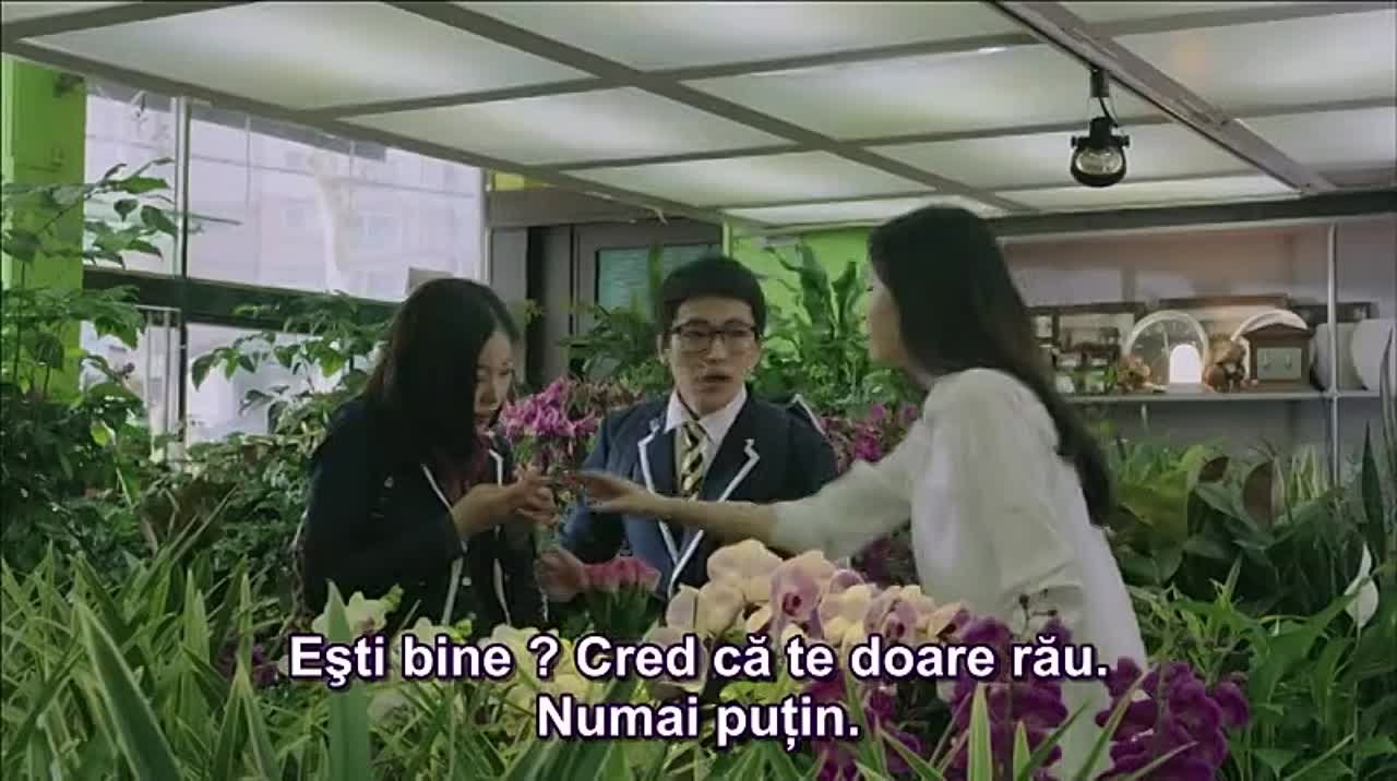 Vampire Flower 2014 - 6/6