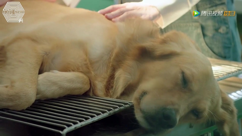 「РУСС. САБ.」Operation Love