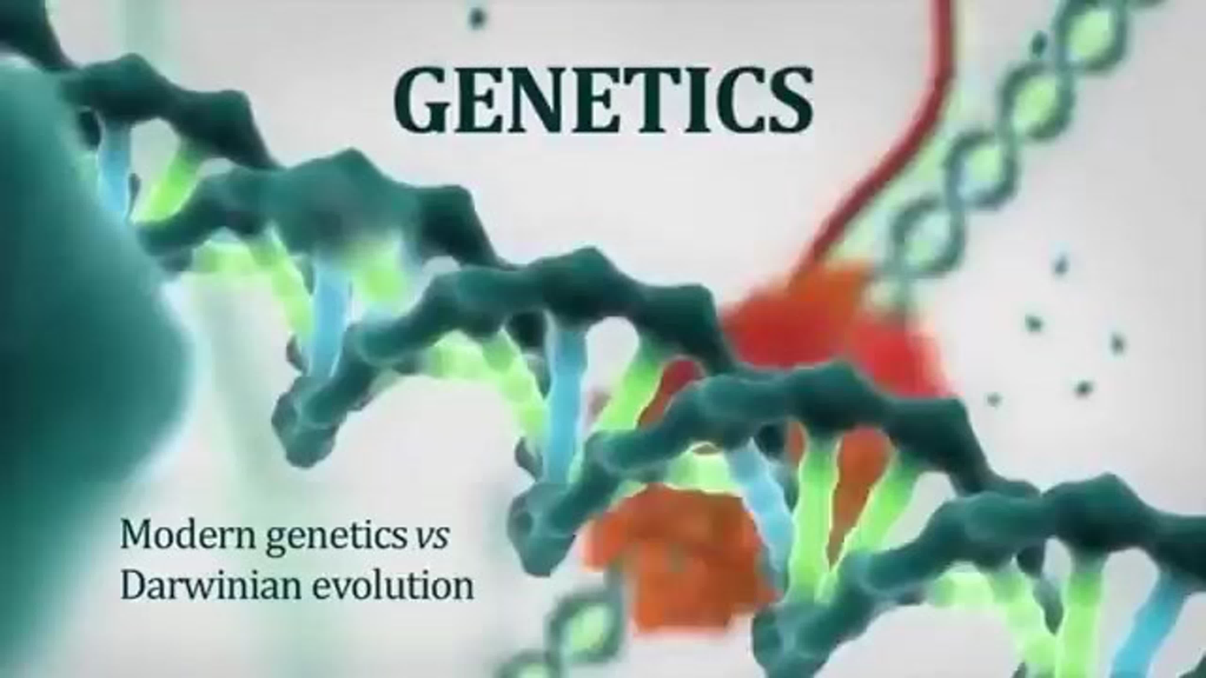 ЛОЖЬ ЭВОЛЮЦИИ