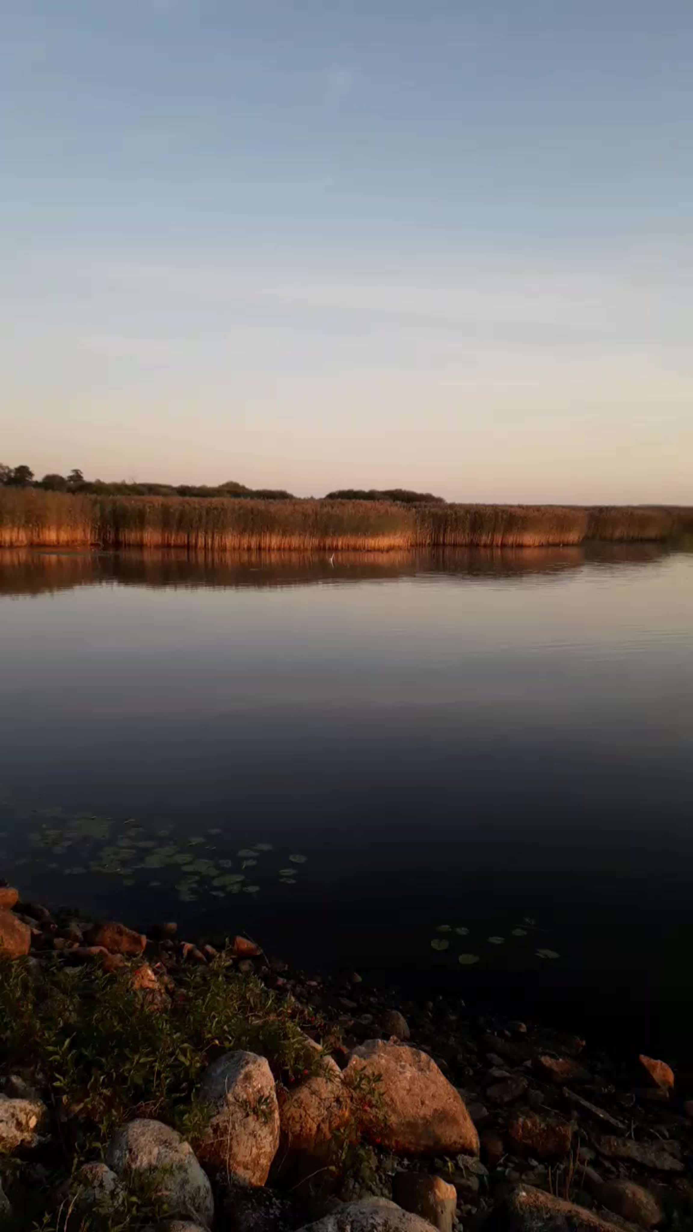 Кривск 2019 год с 25 августа по 1 сентября