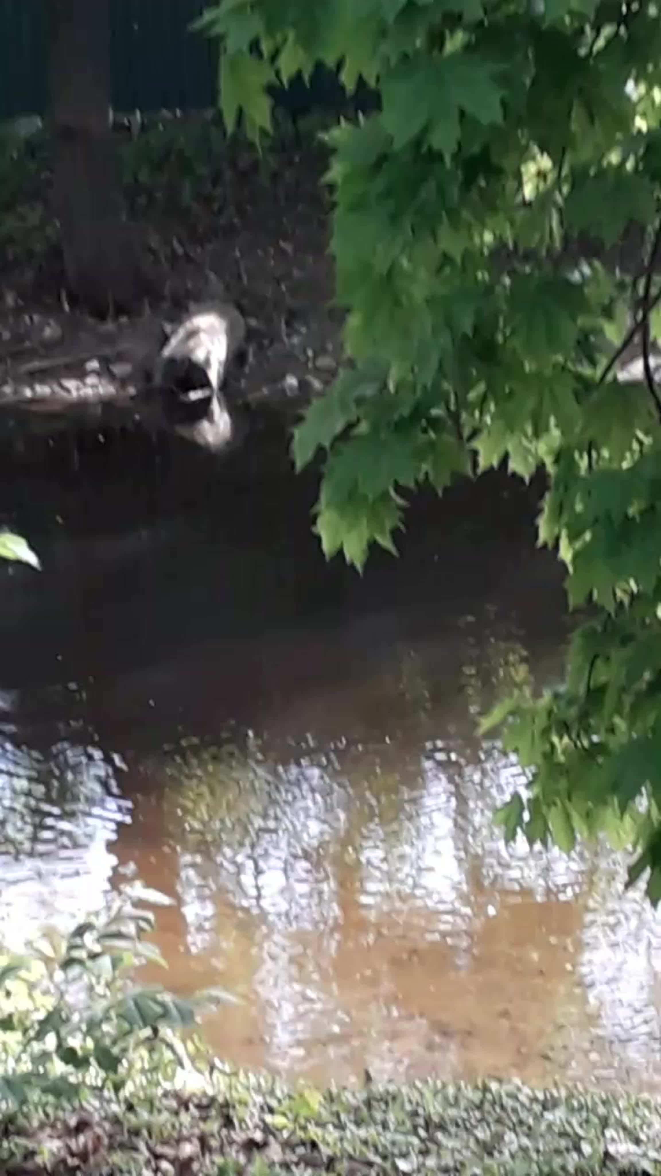 Отдых май 2019 год