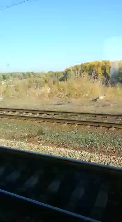 Природа России