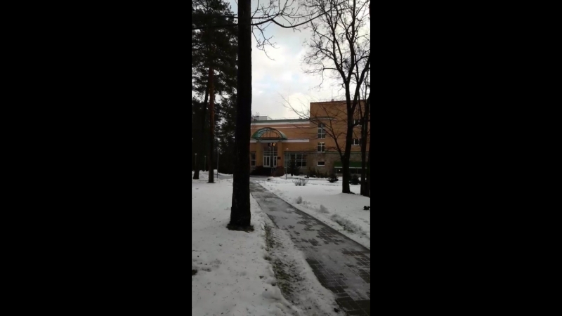 Зеленый Бор декабрь 2017