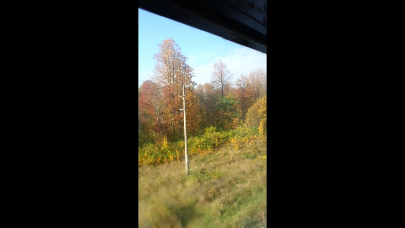 Природа центральной России