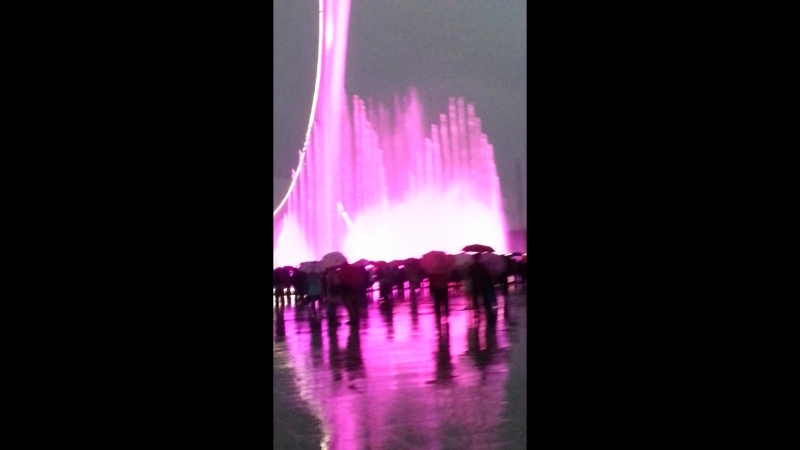 Адлер 2016 год