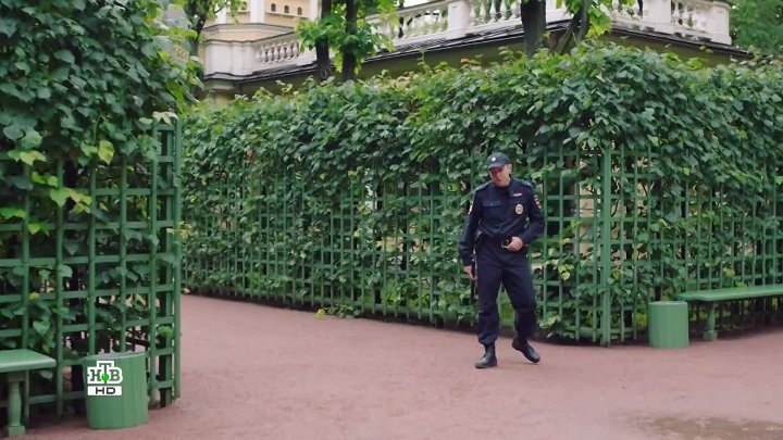 Музыкальные