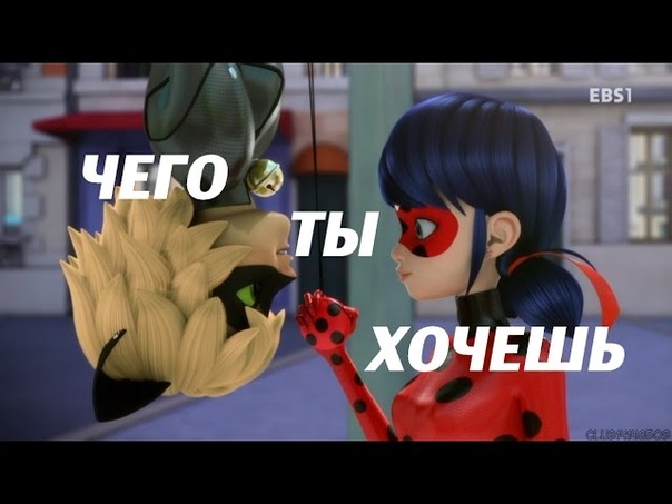 Ледибаг и Кот Нуар