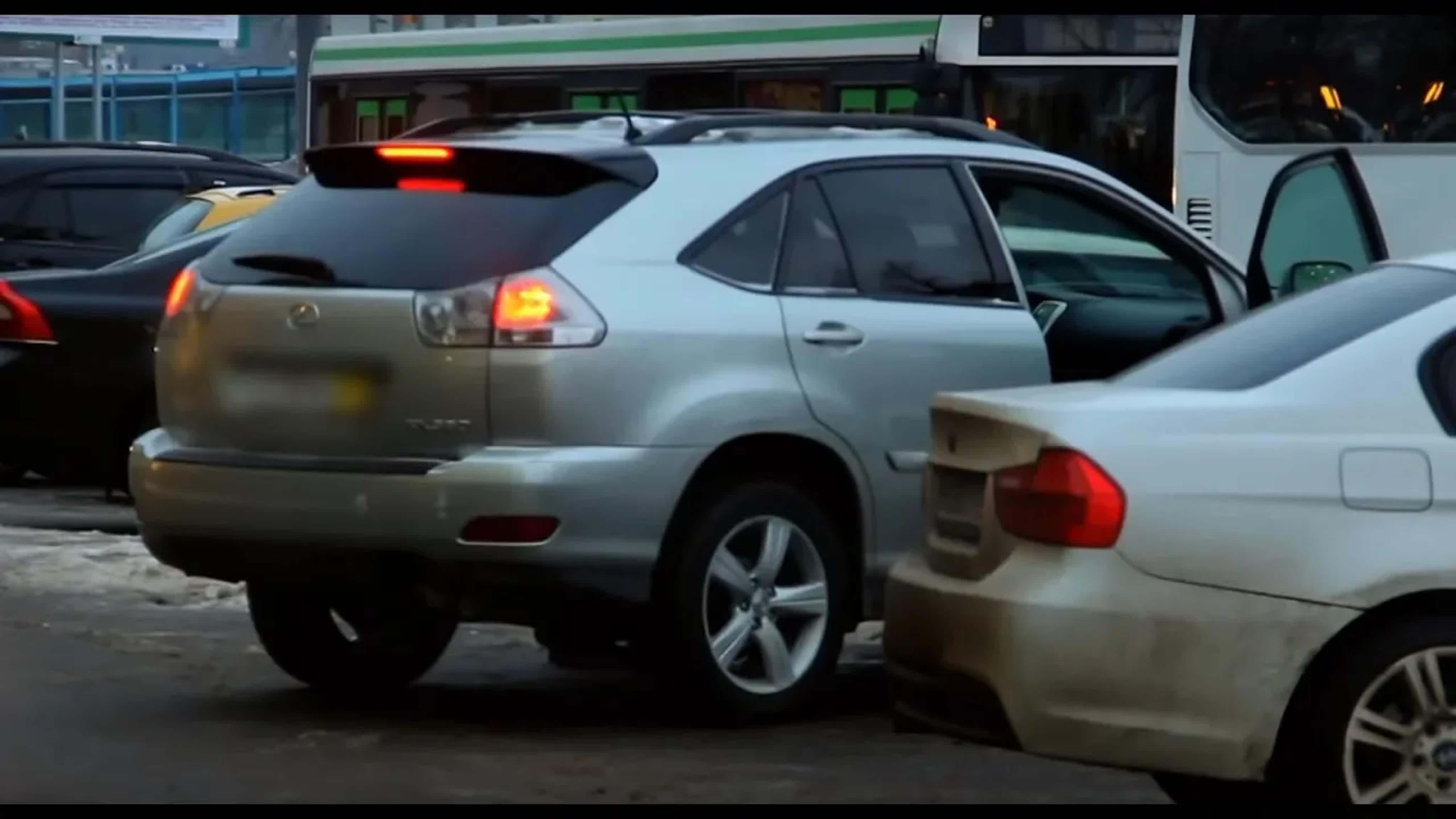 Лиса Рулит 2013