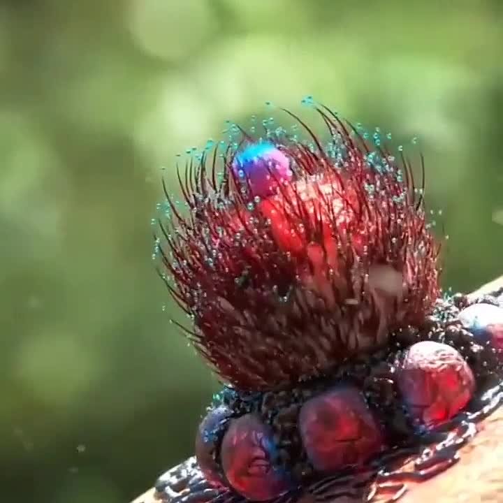 Красота природы