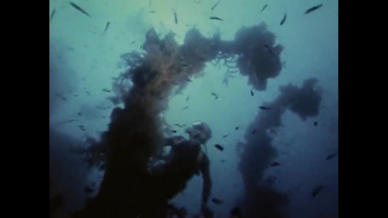 Жак-Ив Кусто