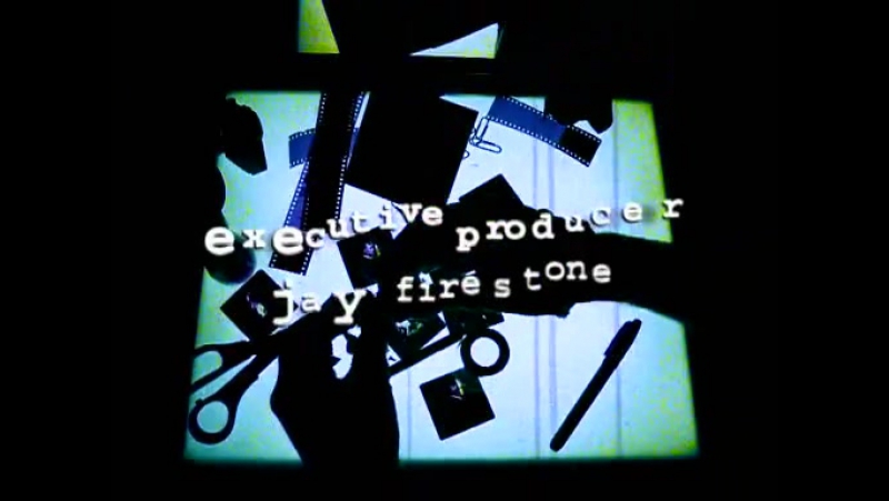 Ее звали Никита, 1-5 сезоны