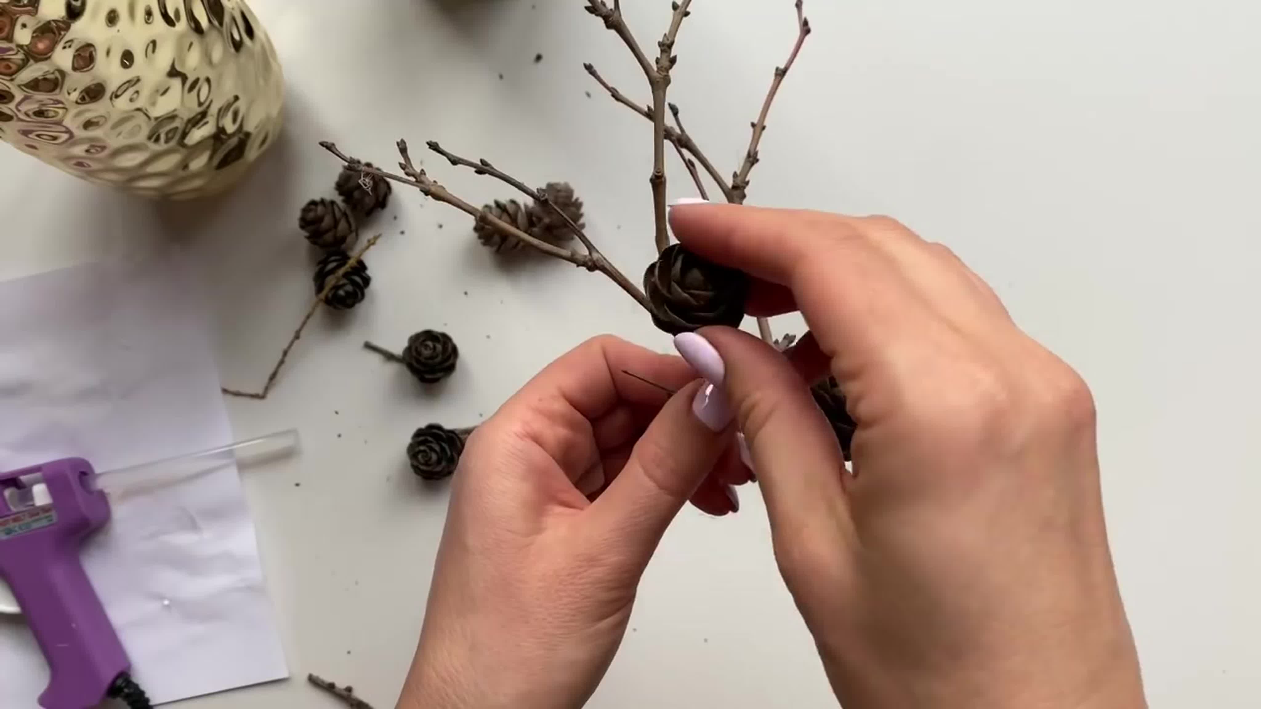 зимние растения для композиций