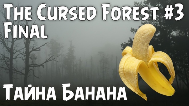 The Cursed Forest