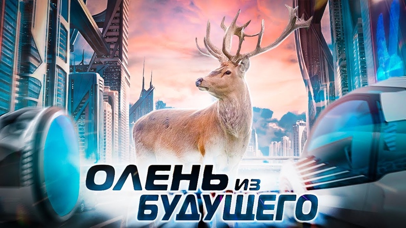 Смешные Игры