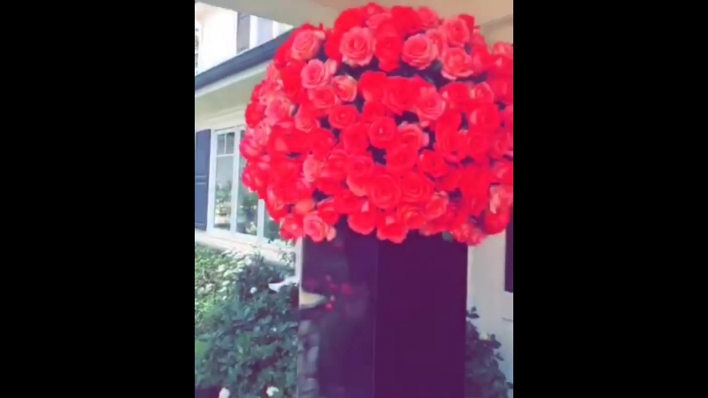 Instagram Кайли