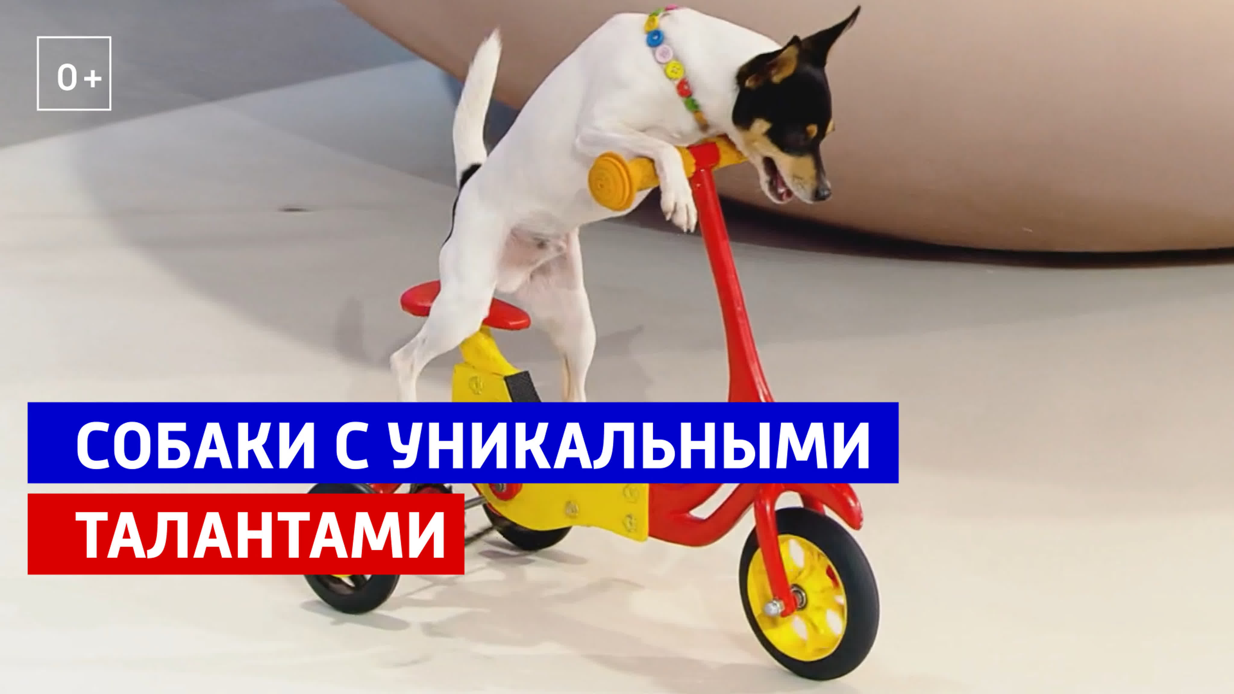 В кругу друзей