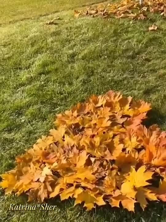 Рөстәм Әхмәтханов җырлары