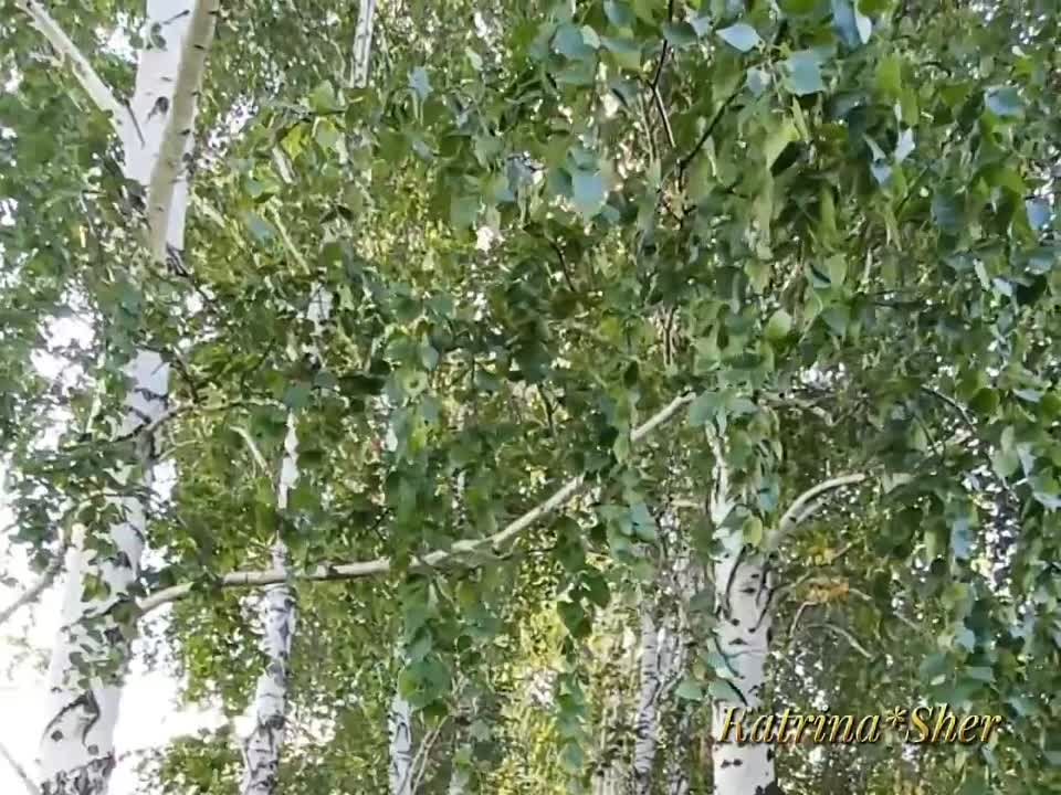 Фаудат Гилязов җырлары