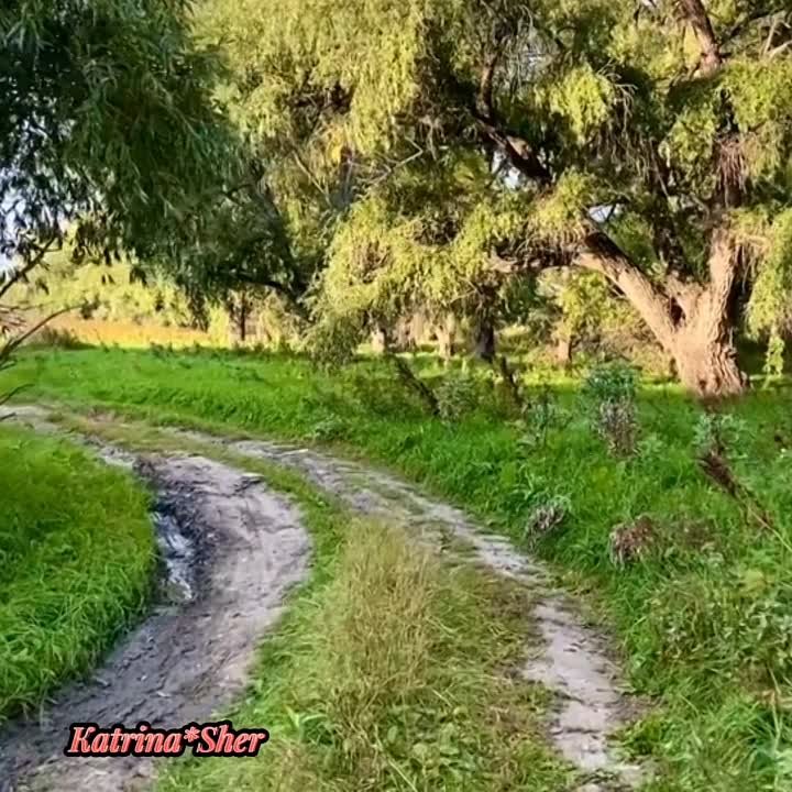 Әлфия Авзалова җырлары