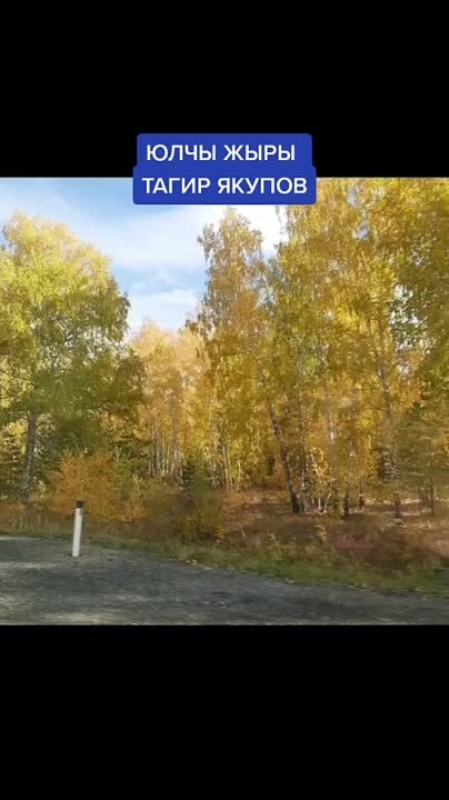 Тагир Якупов җырлары