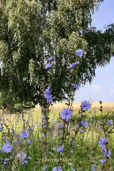 Эту песню пели наши родители