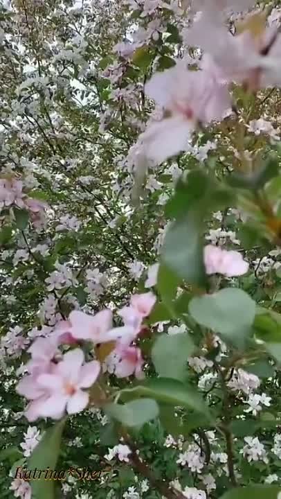 Фәридә Файзуллина