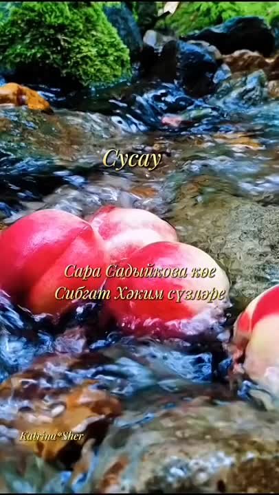 Сиринә Зәйнетдинова