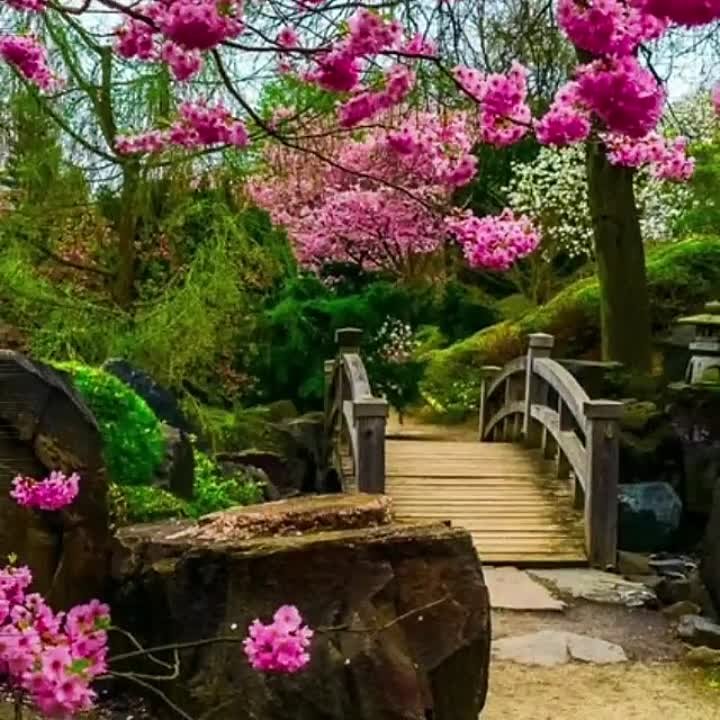 Оскар Усманов җырлары