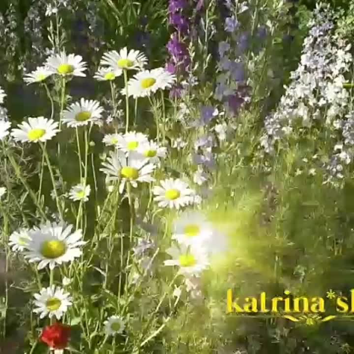 Вадим Захаров җырлары