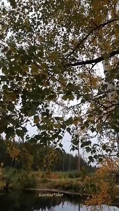 Альфред Якшимбетов җырлары