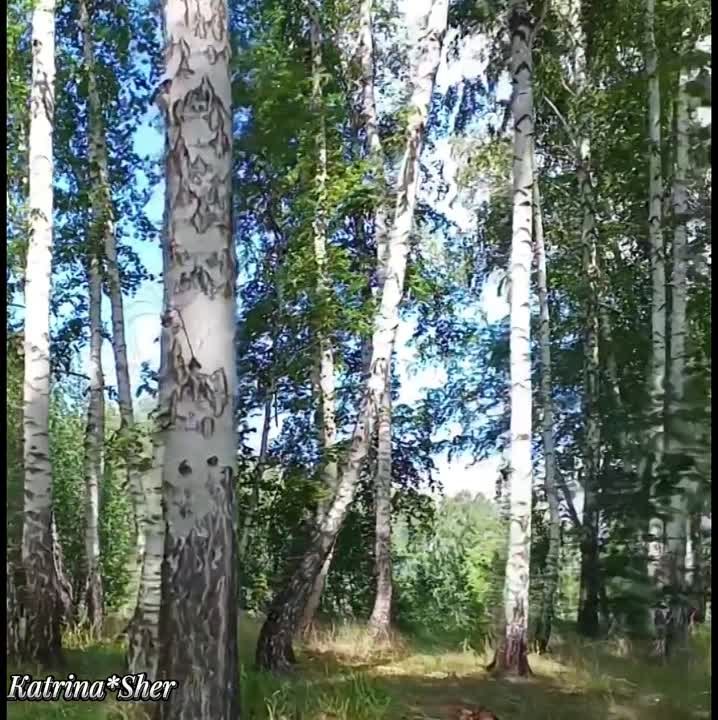 Сайдаш Хасанжанов җырлары