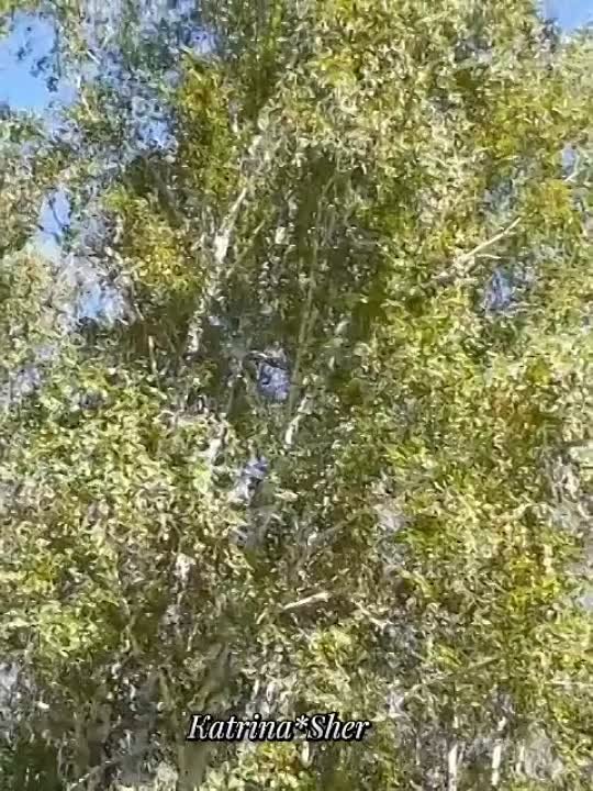 Флюра Сулейманова