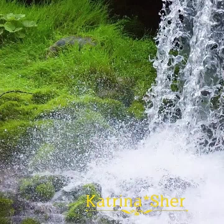 Хания Фархи җырлары