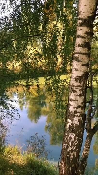 Фидан Гафаров җырлары