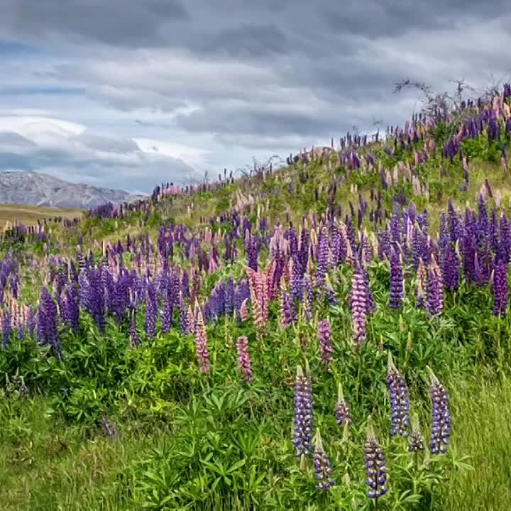 Радик Газизов