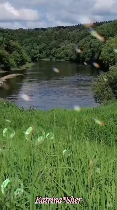 Рамзина Тимерова