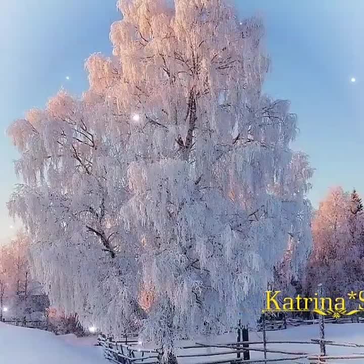 Илсояр Зарипова