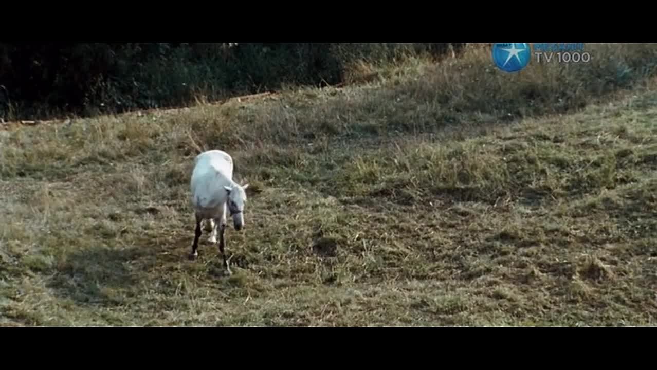 Российское кино