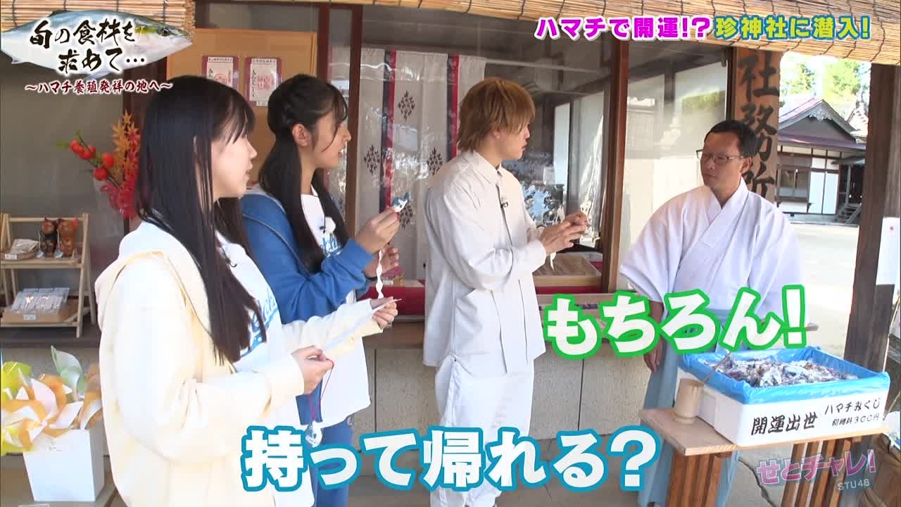 [TV-show] Setochalle! (эпизоды с 2021 года)