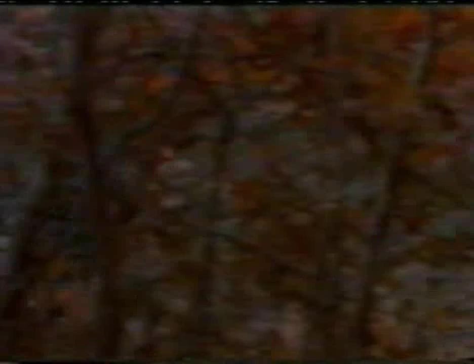 Том 351 -Жанно Шварц