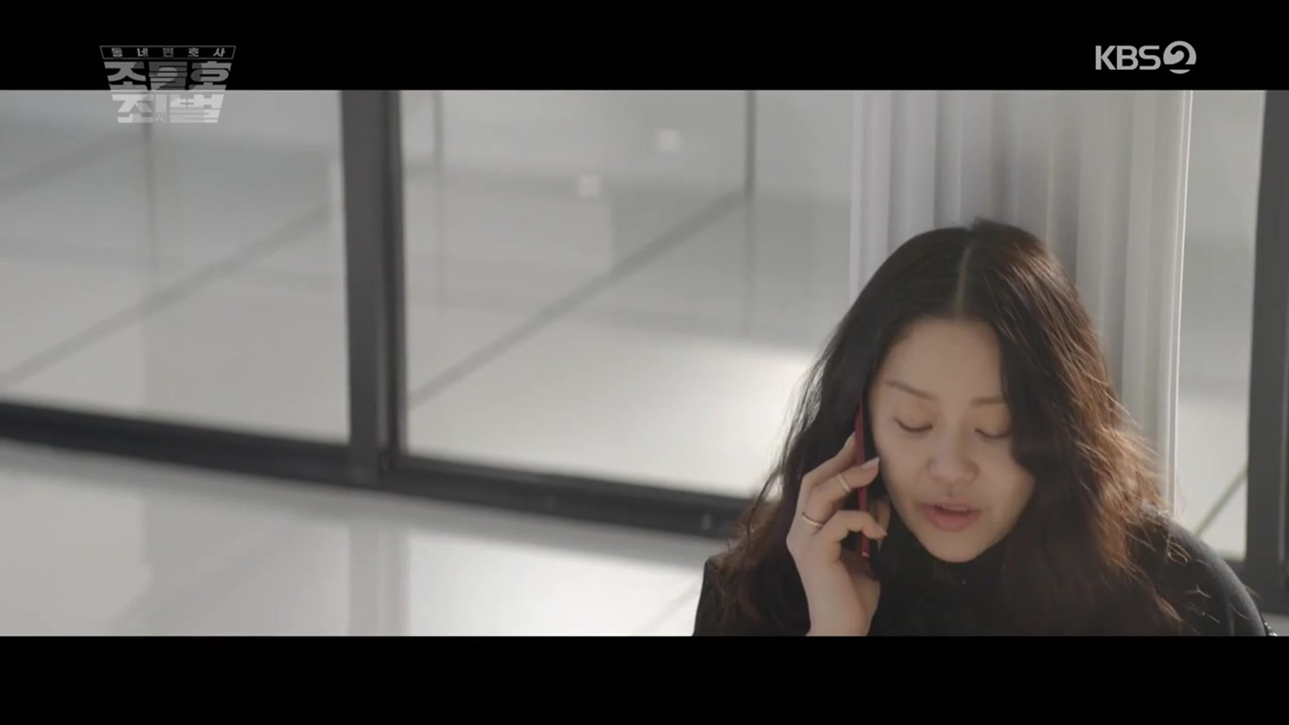 Соседский адвокат Чо Дыль Хо 2: Преступление и наказание / Neighborhood Lawyer Jo Deul Ho 2