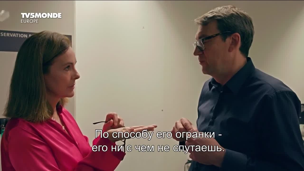 Образовательные документальные фильмы