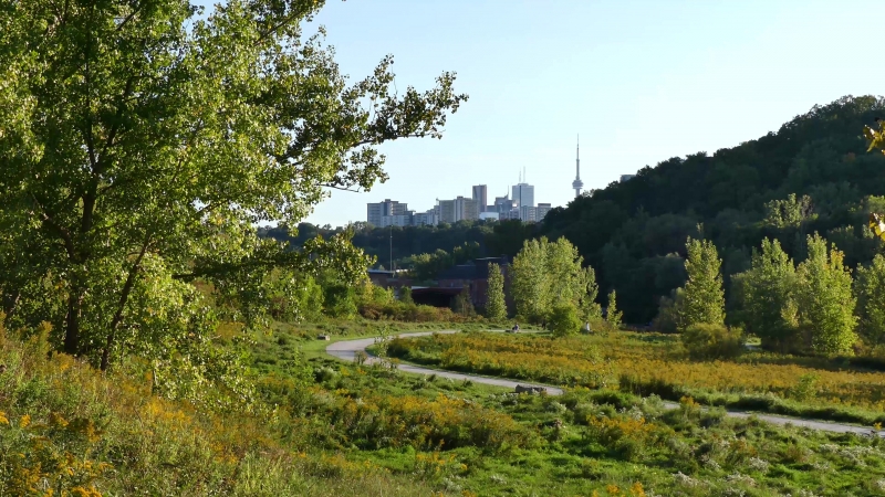 Жизнь в Торонто