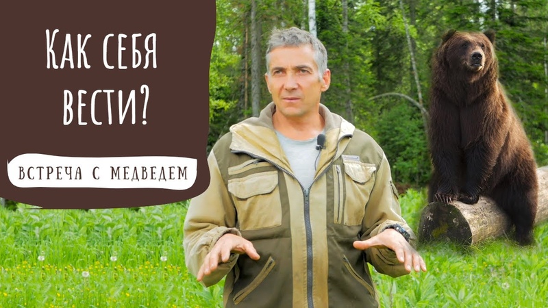 Выживание в дикой природе