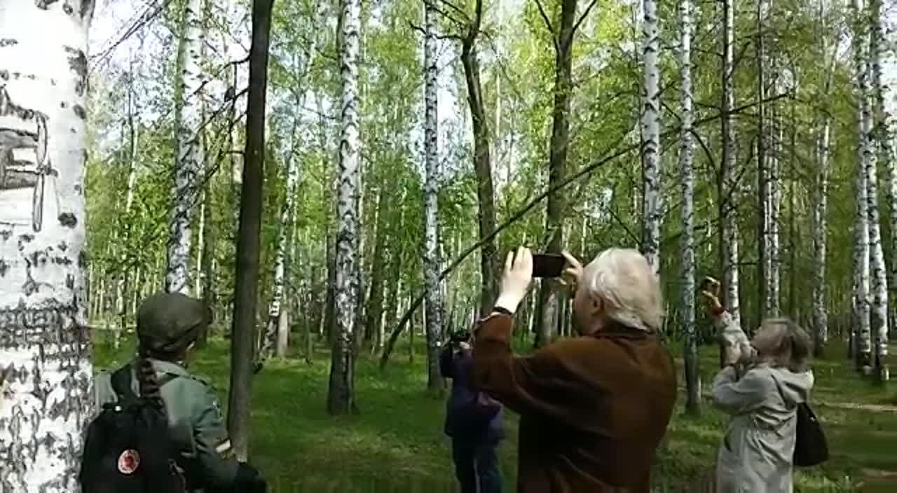 Наблюдения.Лагерный сад.