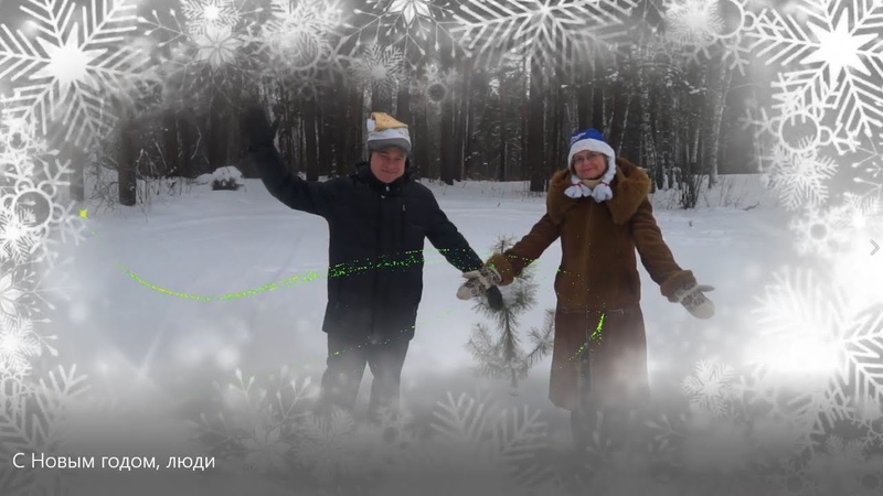 Лес Академгородка