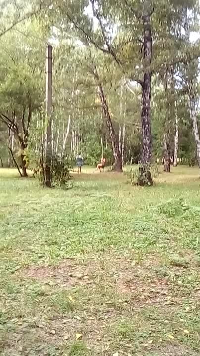 Михайловская роща