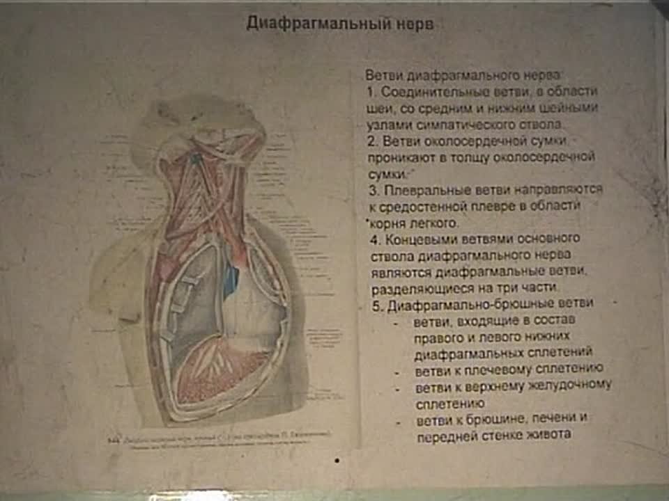 Мануалка