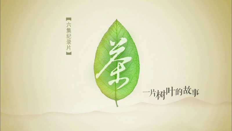 Чай. История одного листа