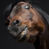 Crazy Horse Game - YouTube / ютуб игры